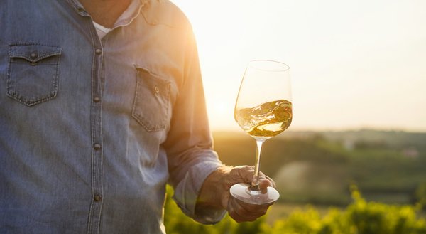 Boissons fermentées : découvrez les secrets de l'abbaye